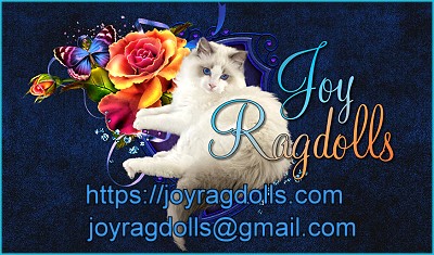 Joy Ragdolls Banner