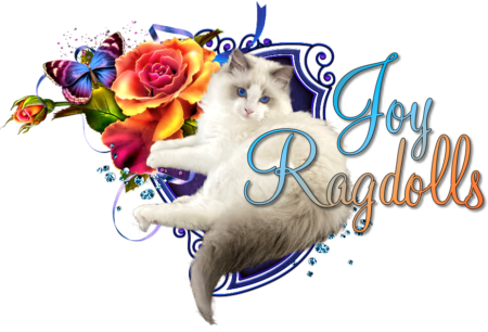 JoyRagdolls